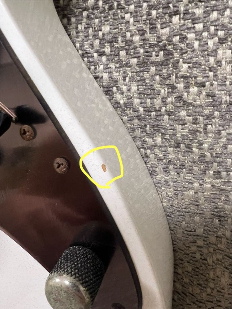 Ibanez Prestige RG2550ZGW 専用ハードケース付