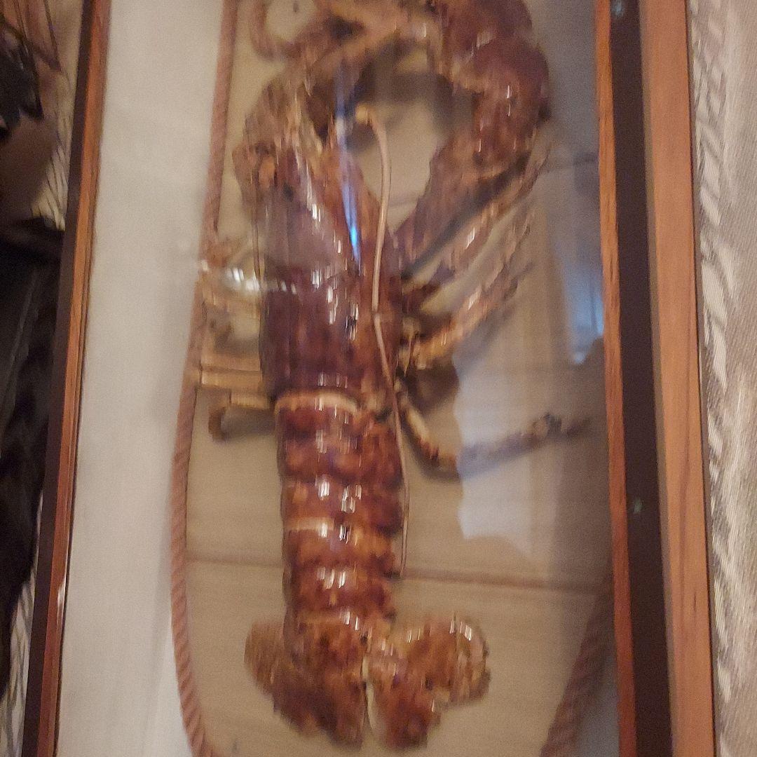 剥製　インテリア