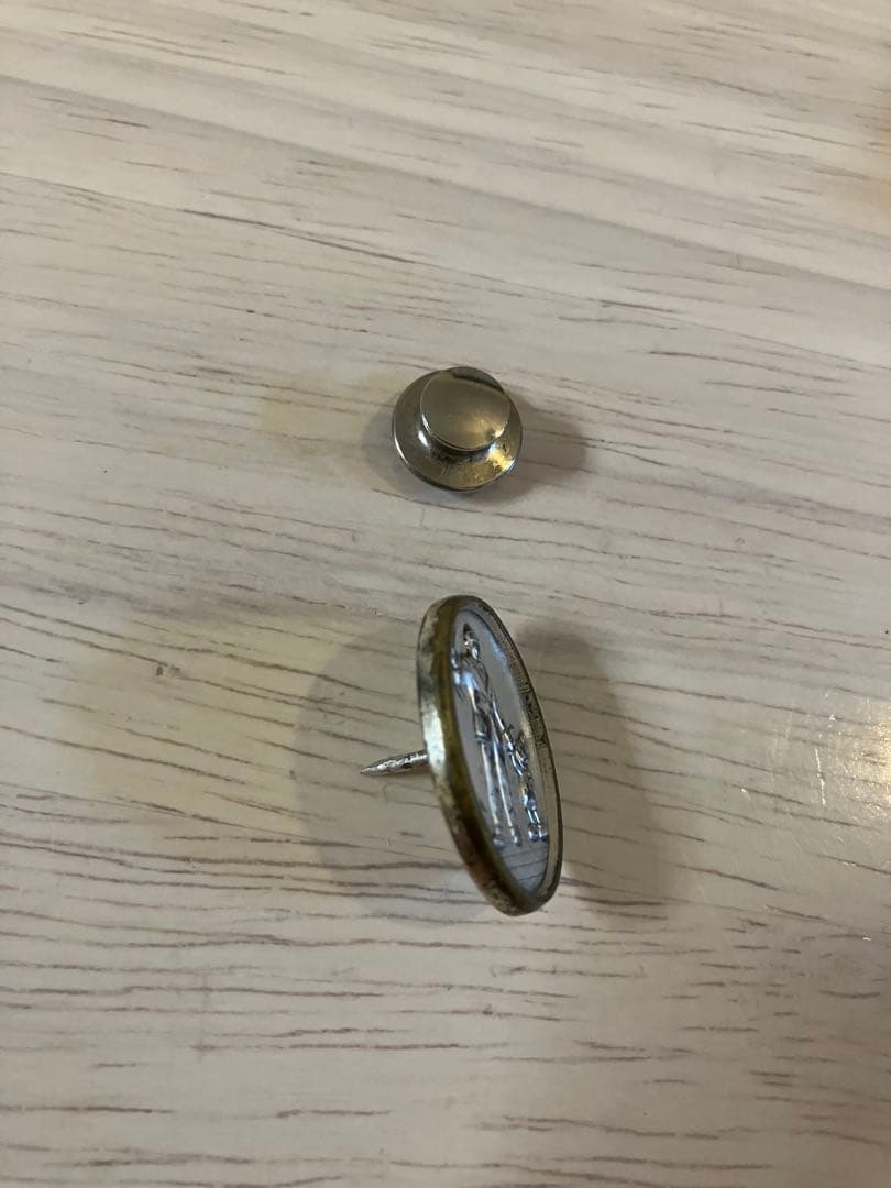 【セール】希少⭐︎ ディズニー キャスト スピリット・アワードピン 非売品