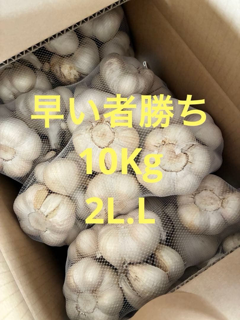 新物　青森県にんにく10Kg 2L.L 加工おすすめ