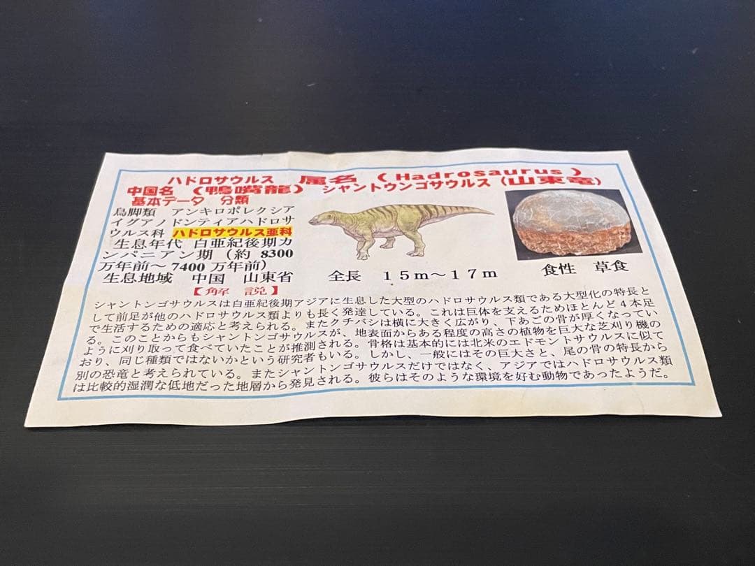 ☆赤字☆【入手困難】博物館クラスサイズ 海外産　ハドロサウルスの卵の巣　8個 !