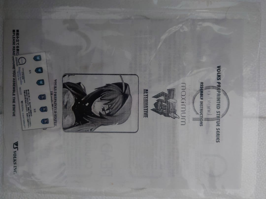 a-brand 鑑純夏　00スーツVer. マブラヴオルタネイティヴ