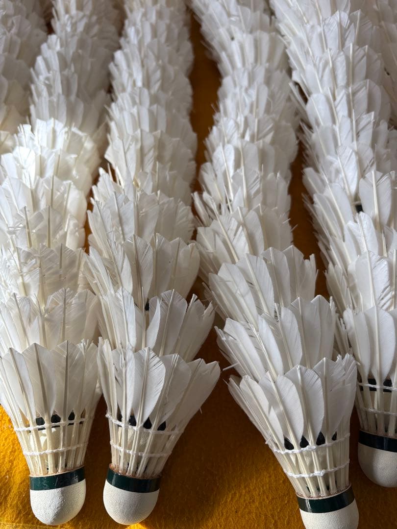 バドミントン　シャトル ノック用　360球セット　ヨネックス　ゴーセン