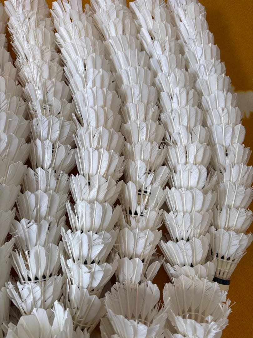 バドミントン　シャトル ノック用　360球セット　ヨネックス　ゴーセン