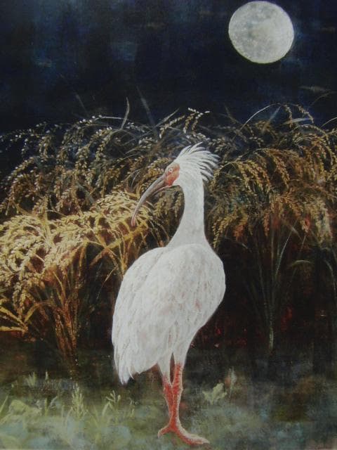 井手尾摂子、「秋の月」、希少な額装用画集より、新品高級額装付