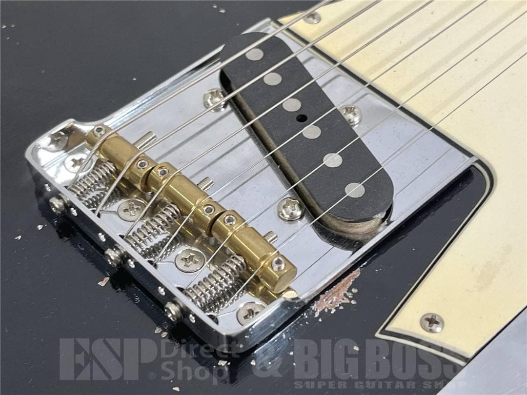 ギター T.S factory 151A-TSSP2 (Black)