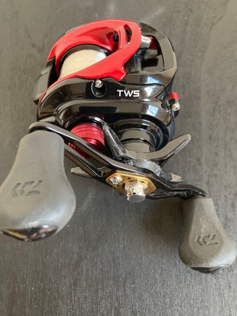 リール DAIWA TATULA CT TAPE-R 100H