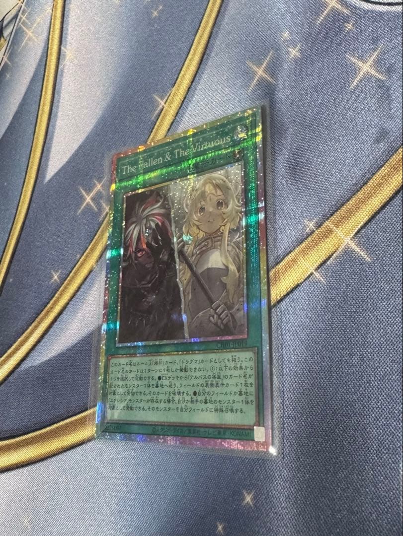 The Fallen & the Virtuous プリシク