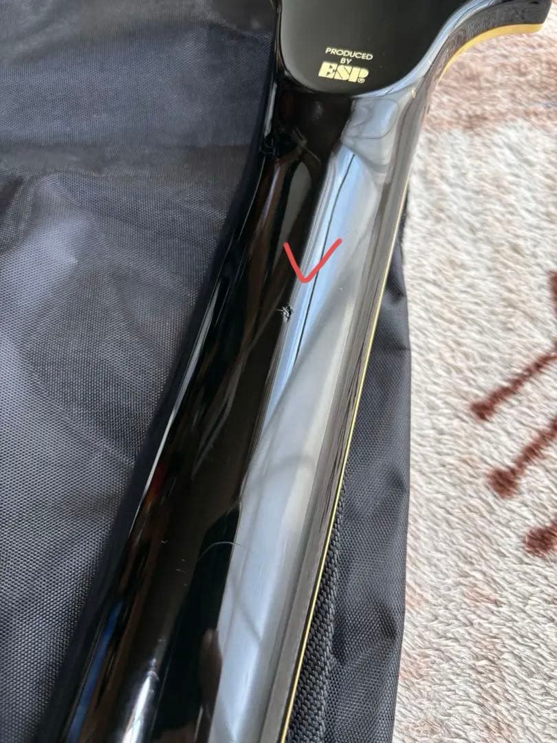 メンテナンス済み！　EDWARDS E-CL-90-I SUGIZO Model