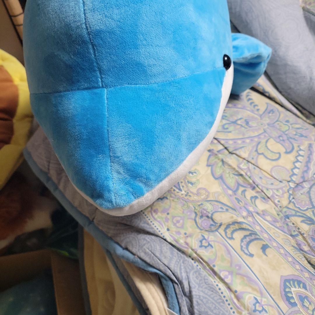 イルカぬいぐるみ