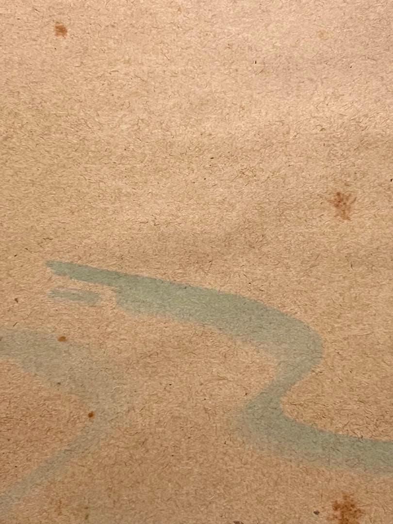 小林太玄 掛軸 肉筆 書「せせらぎ 画賛」 大徳寺 臨済宗 掛け軸 茶掛 めだか