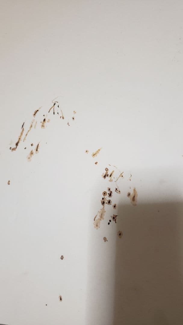 バ*ン様 高山善廣大森隆男写真パネルサイン付き