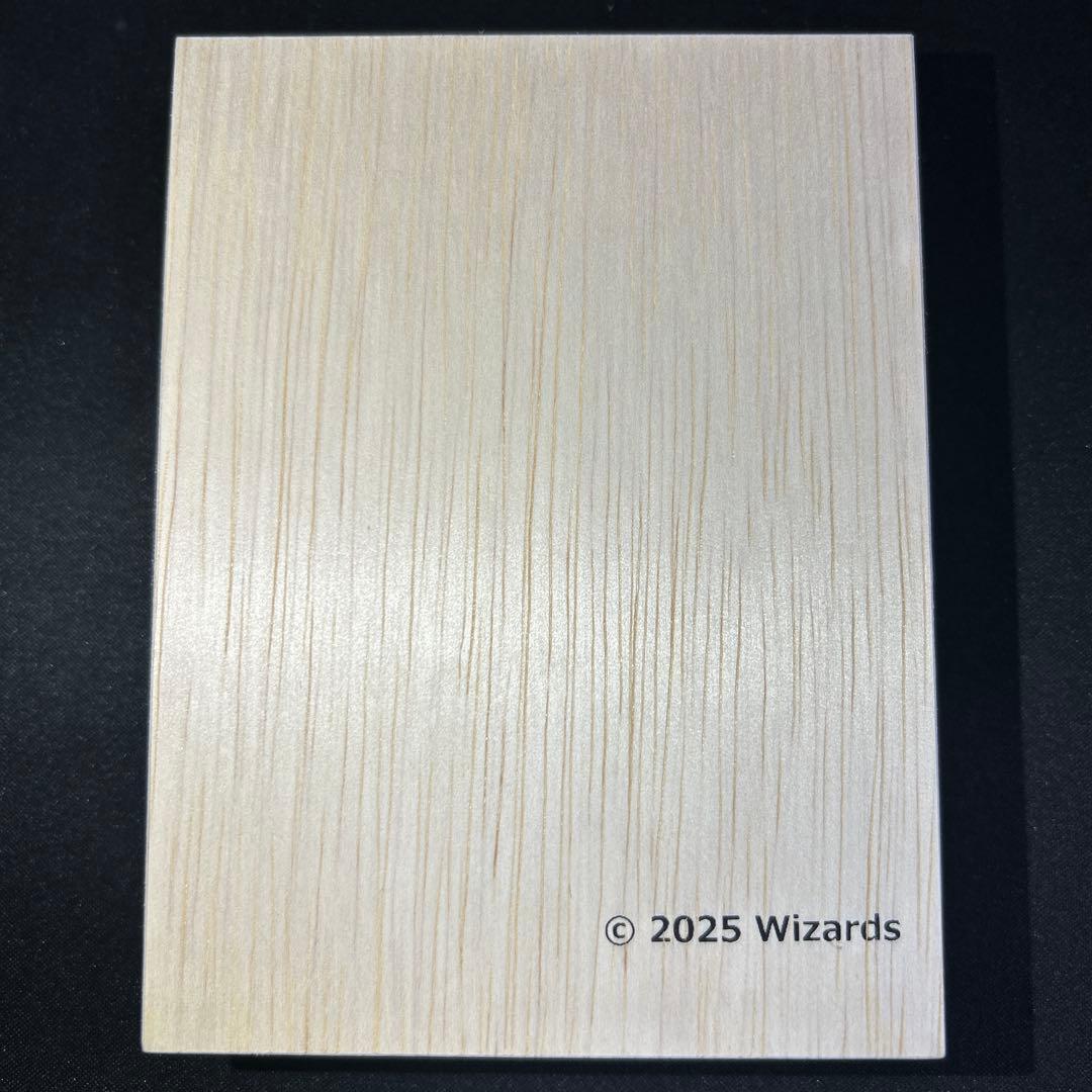 mtg ff 桐箱付き ステンレス トークン 宝物