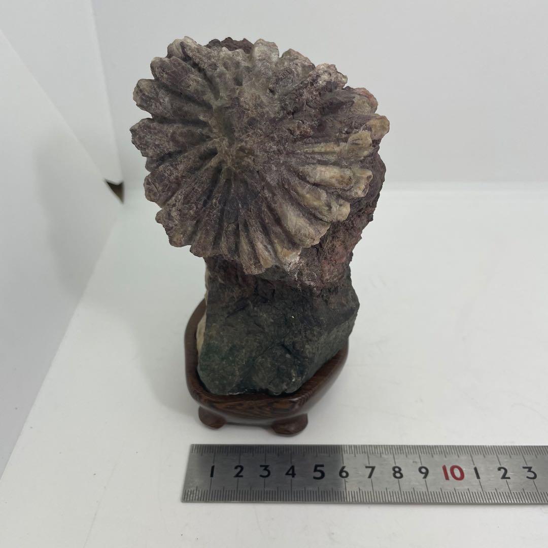 菊花石 置物 専用台付き 1,120ℊ