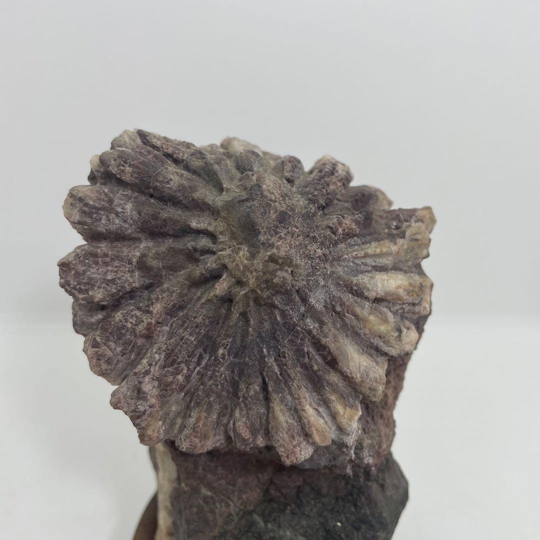 菊花石 置物 専用台付き 1,120ℊ