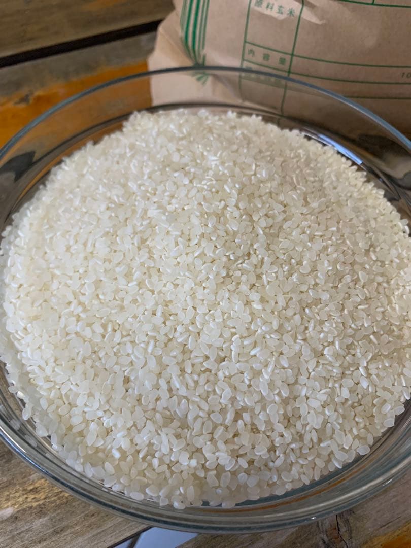 令和7年 徳島県産コシヒカリ 玄米 箱込10kg♦︎畑での肥料・農薬不使用