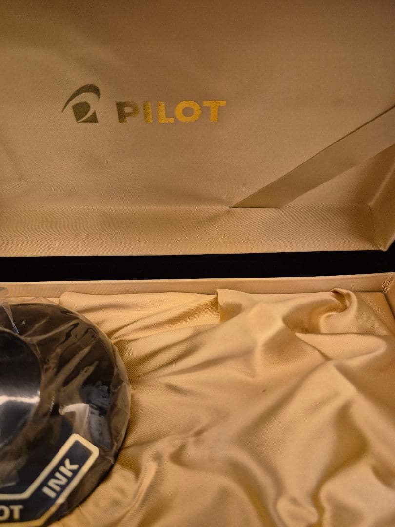 PILOT パイロット 万年筆 研出蒔絵 黒蜻蛉 蜻蛉塗 中字