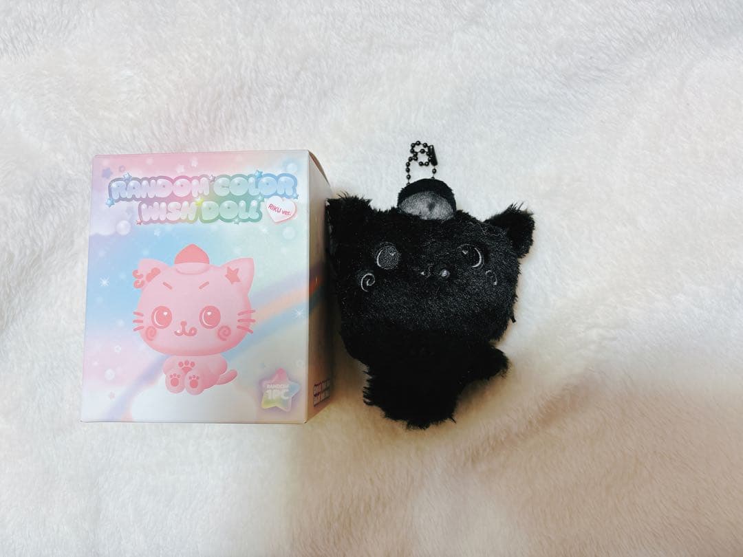 NCTWISH COLOR WISH DOLL リク クリ シークレット 黒