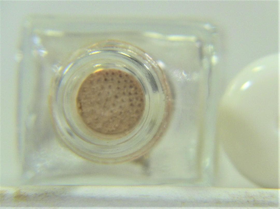 ネイル2 瓶知恵の輪 SN0026