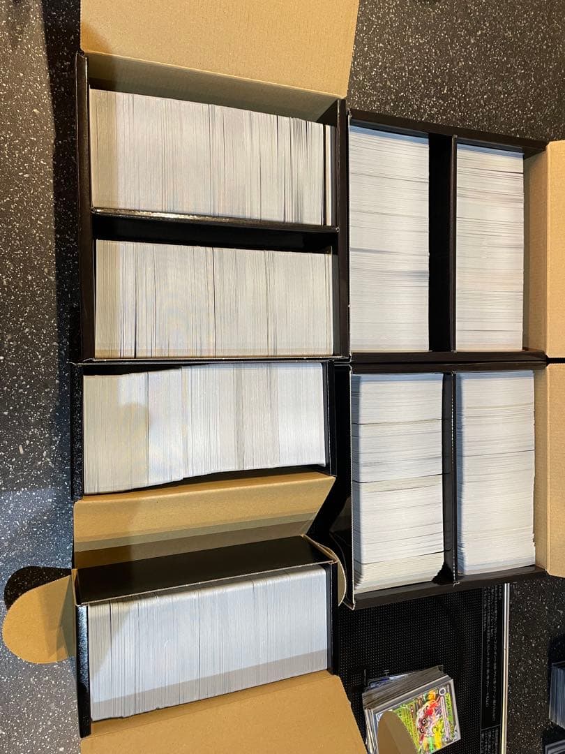 レ*オ様 ポケモンカード 引退品