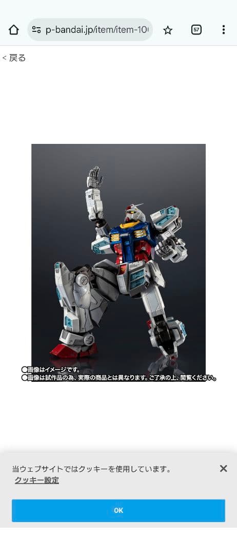 RX-78-2 ガンダム エキスポ限定 抽選販売品