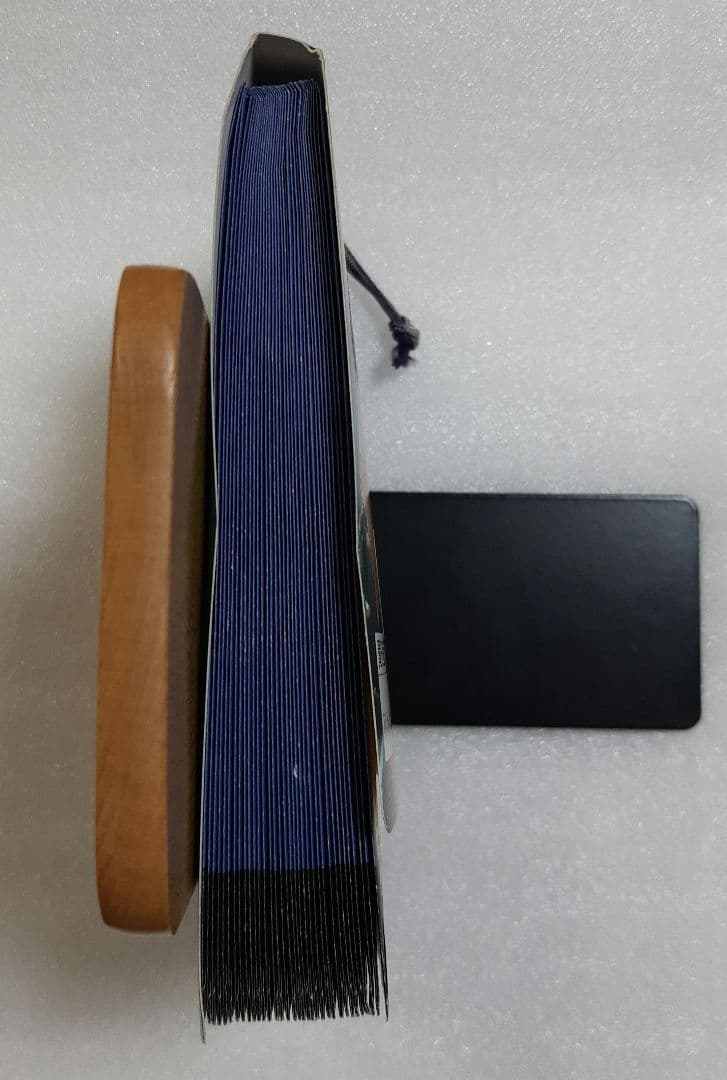 ゴジラ VS デストロイア PPカード アマダ カード