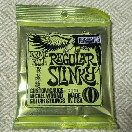 Burny/バーニー LG-480 レスポールタイプ エレキギター（ギター弦付）