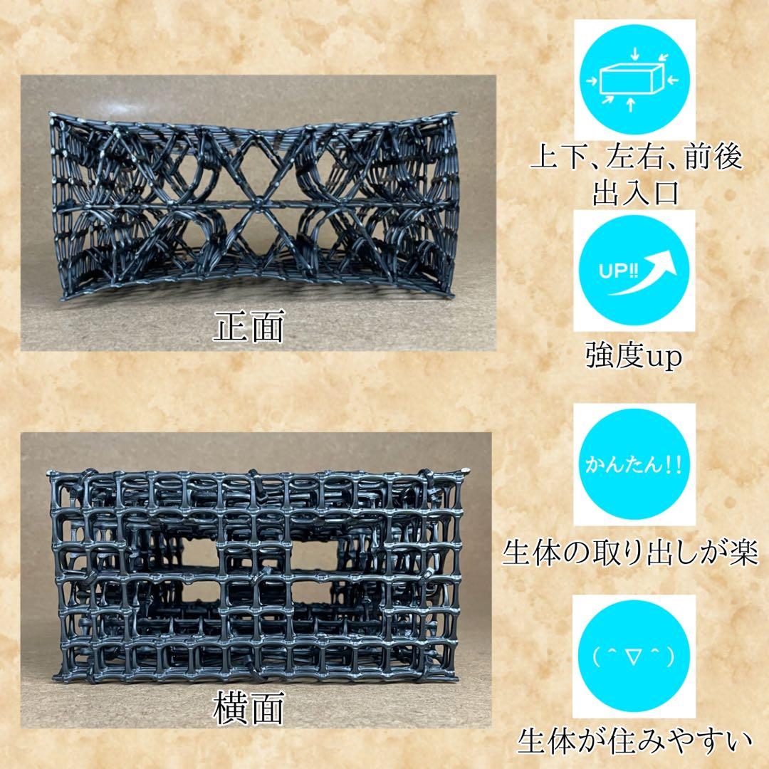 がくじん様　S (シェ)