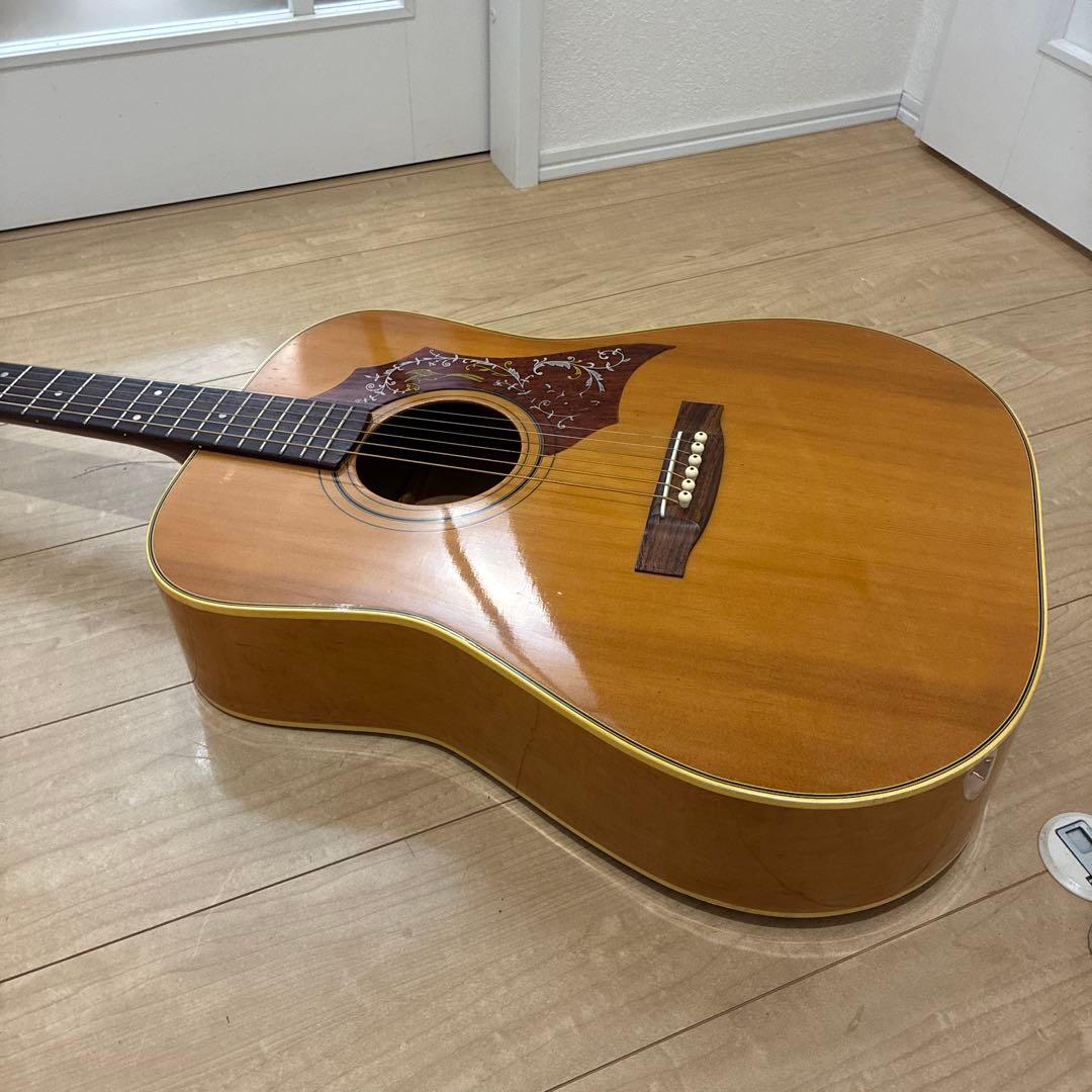 激レア　ZENON 全音　アコースティックギター　ハミングバードタイプ