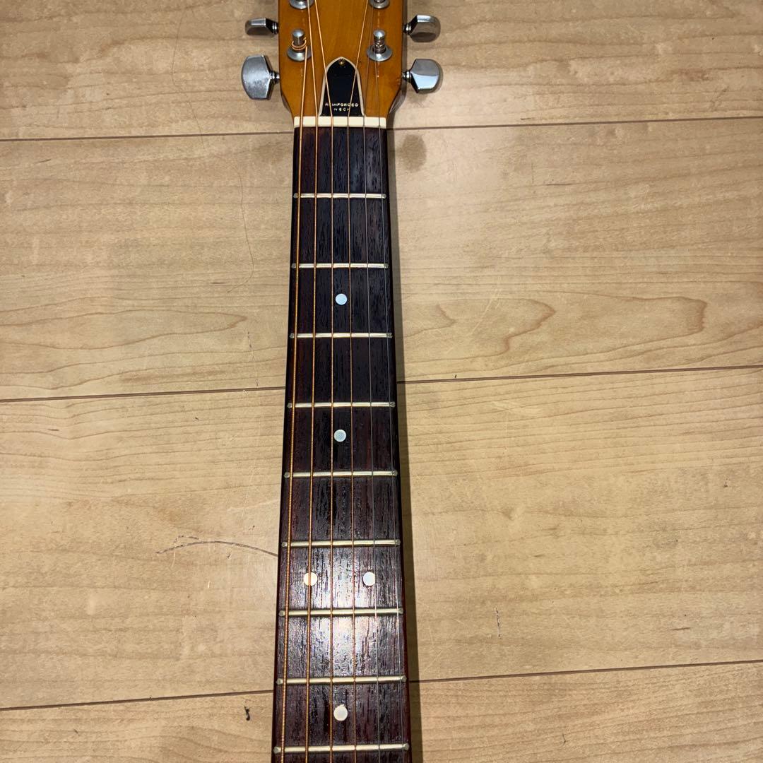 激レア　ZENON 全音　アコースティックギター　ハミングバードタイプ