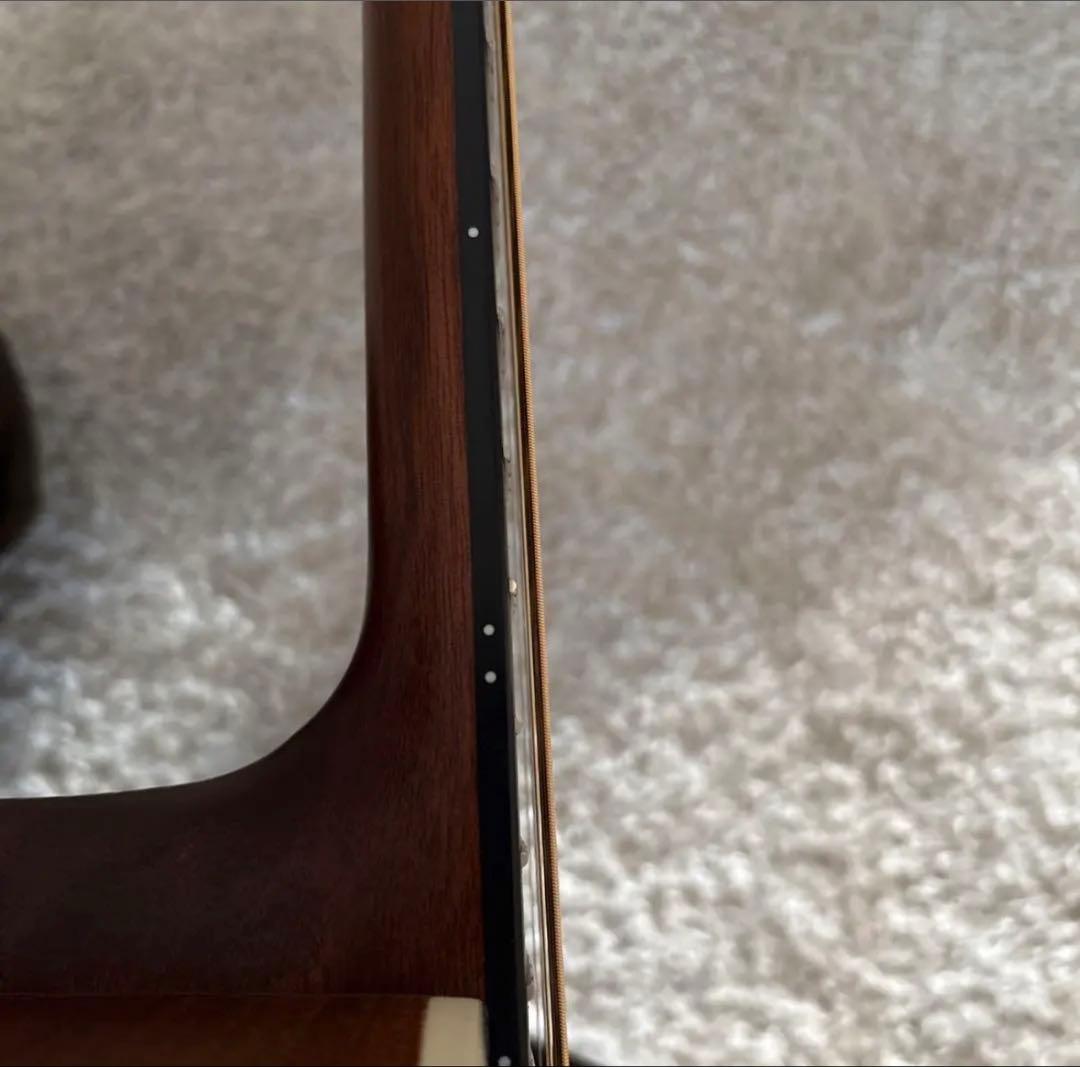 【きゃの】Stafford エレアコ