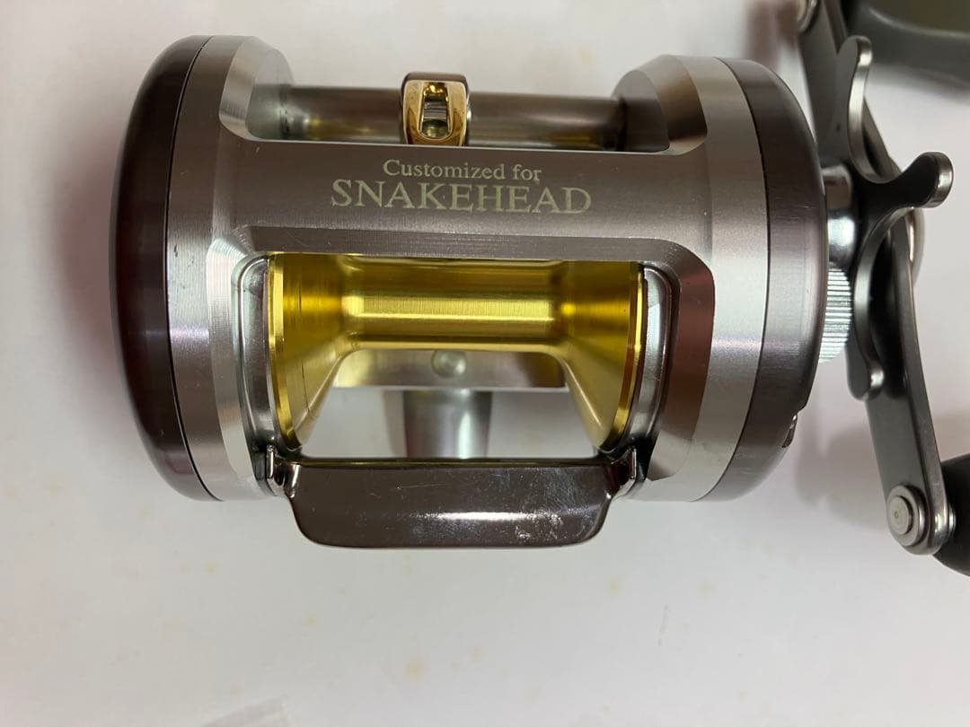 ダイワ スネークヘッドカスタム300美品 雷魚 高井主馬