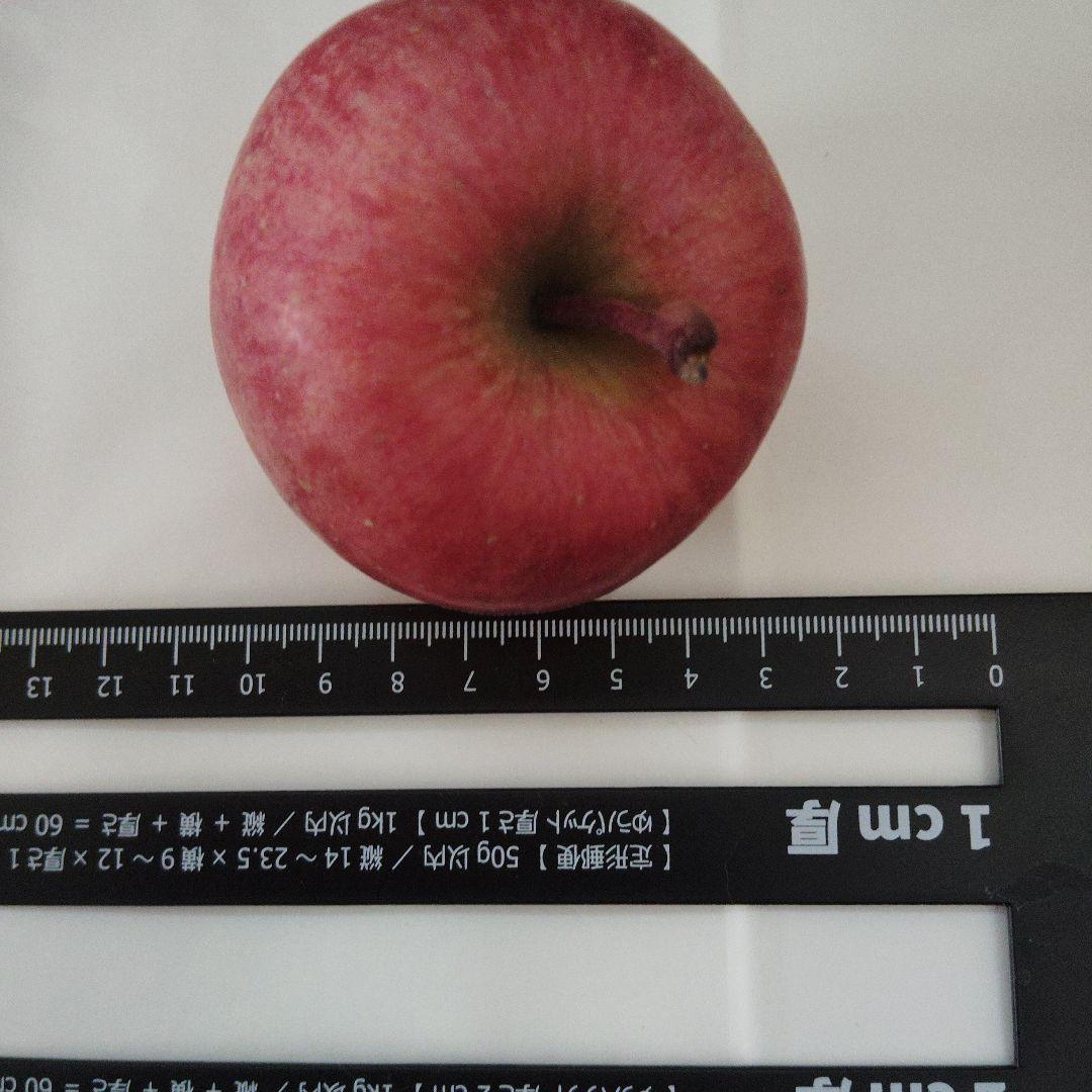 高徳りんご　約9.8キロ　クロネコ発送　運賃の関係で10キロ以内