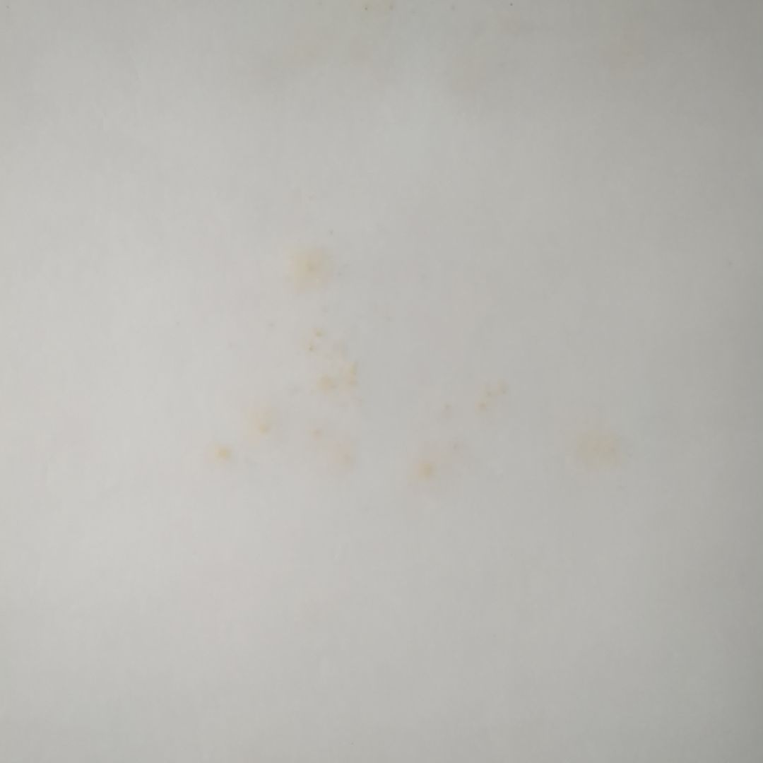 [希少]１９９２年 THE YELLOW MONKEY ポスター デビュー告知