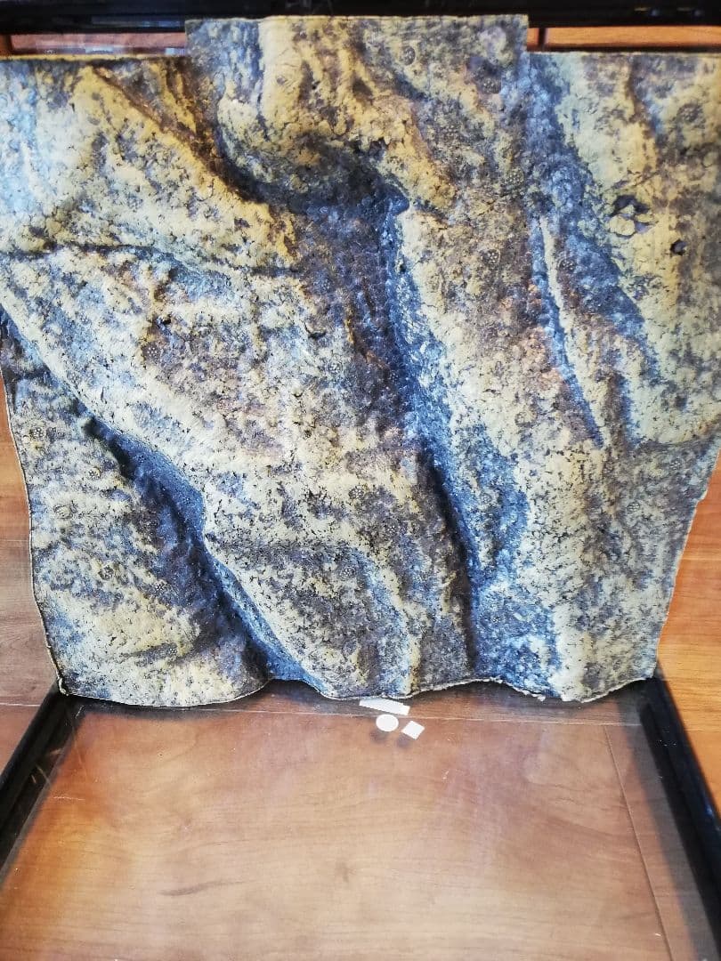 恵翔☆【グラステラリウム3030】爬虫類飼育用ケージ 温度計 ヒーター付き