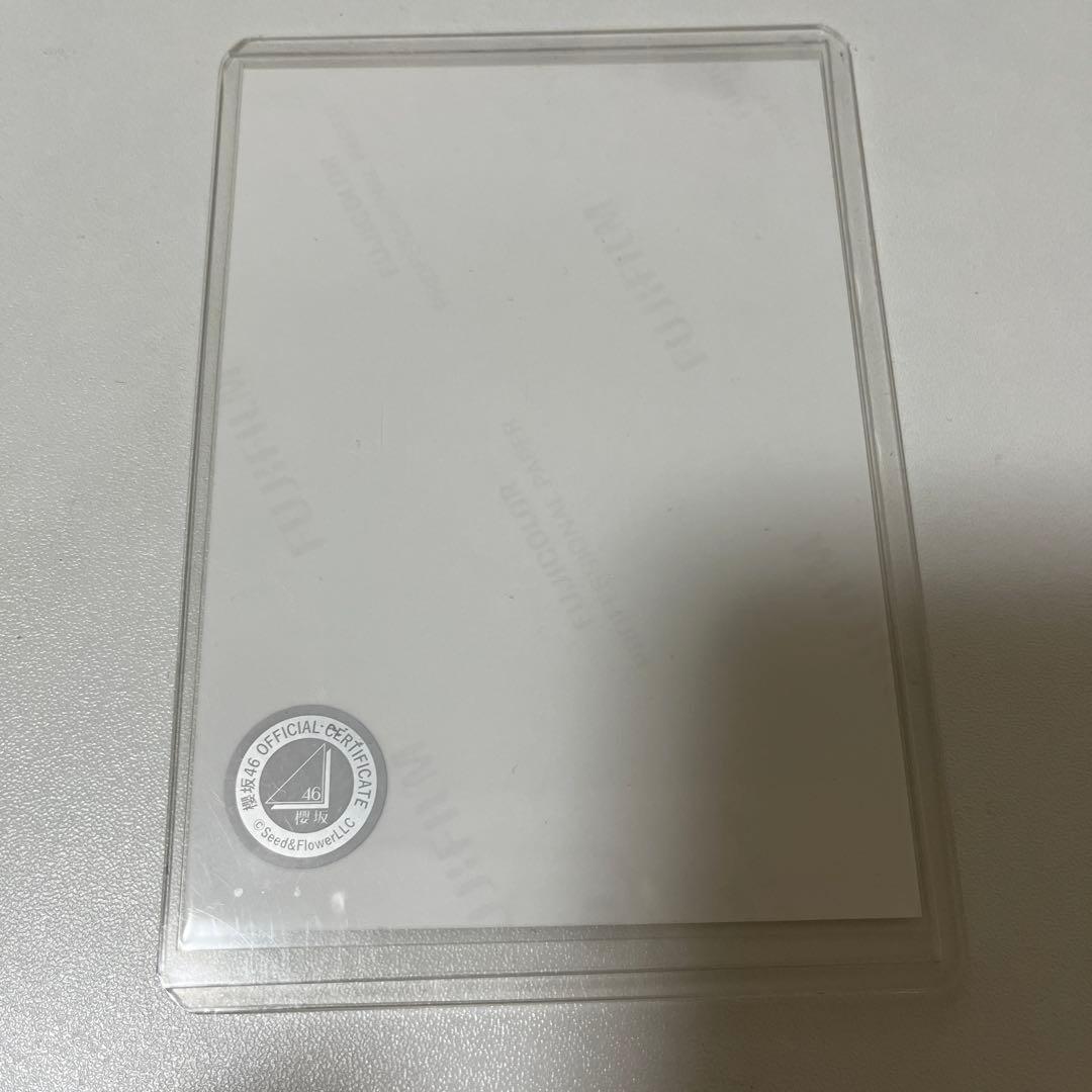 櫻坂46 2024 クリスマスサンタ 生写真 サイン 直筆 遠藤光莉