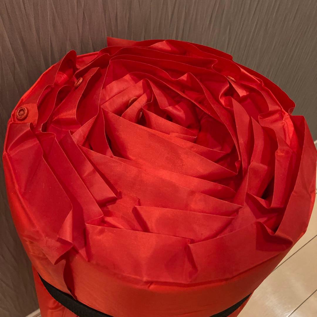 未使用　直営店限定　コールマン　インフレーターマットダブル 赤