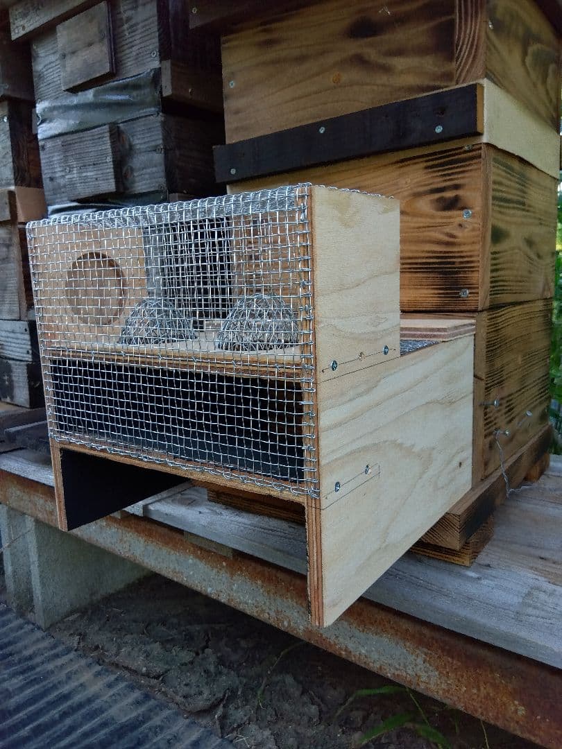 スズメバチトラップ ２個売り 別名 スズメバチ捕獲器 スズメバチ生捕り器