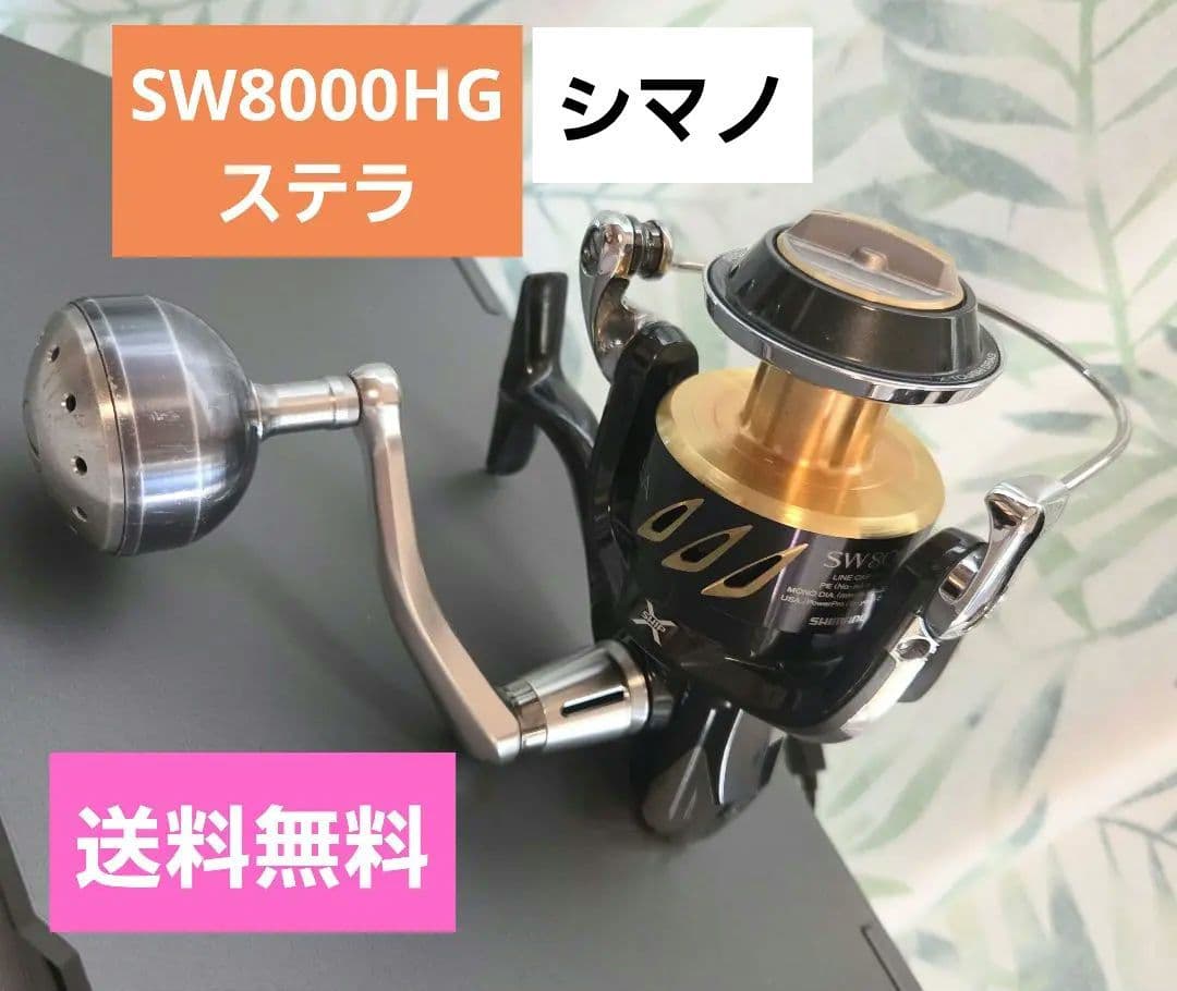 シマノ ステラSW8000 HG リール