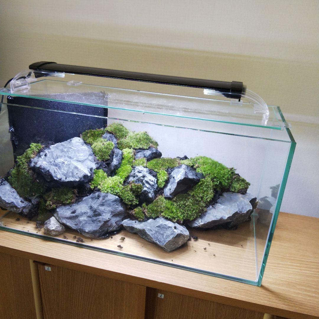 【完成品】アクアリウム　アクアテラリウム