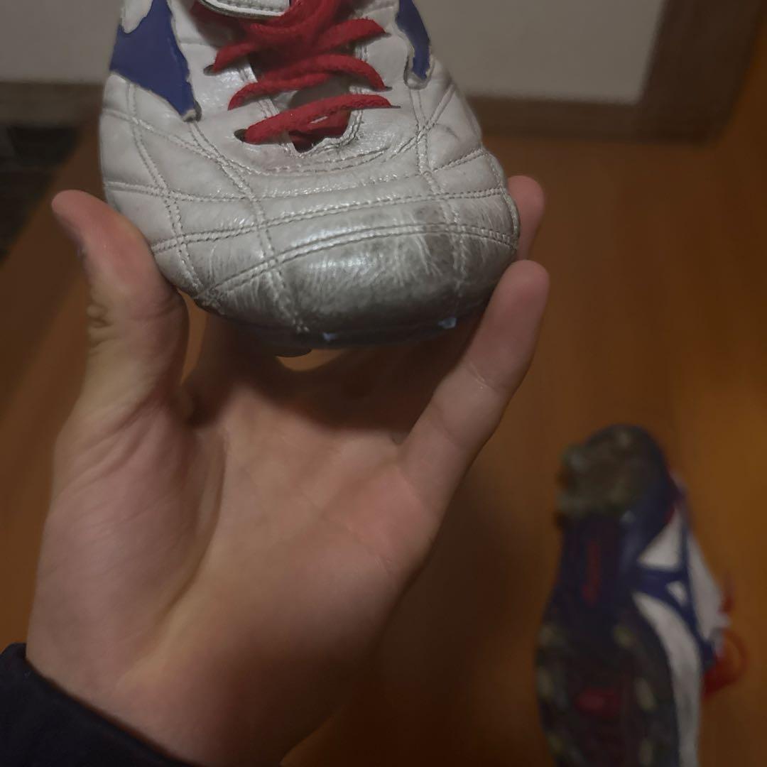 モレリアウェーブ