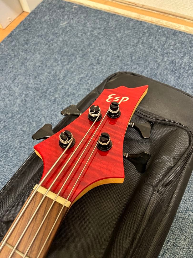 ESP BTL ROSELIA LISA 初期モデル　ベース　2018年購入