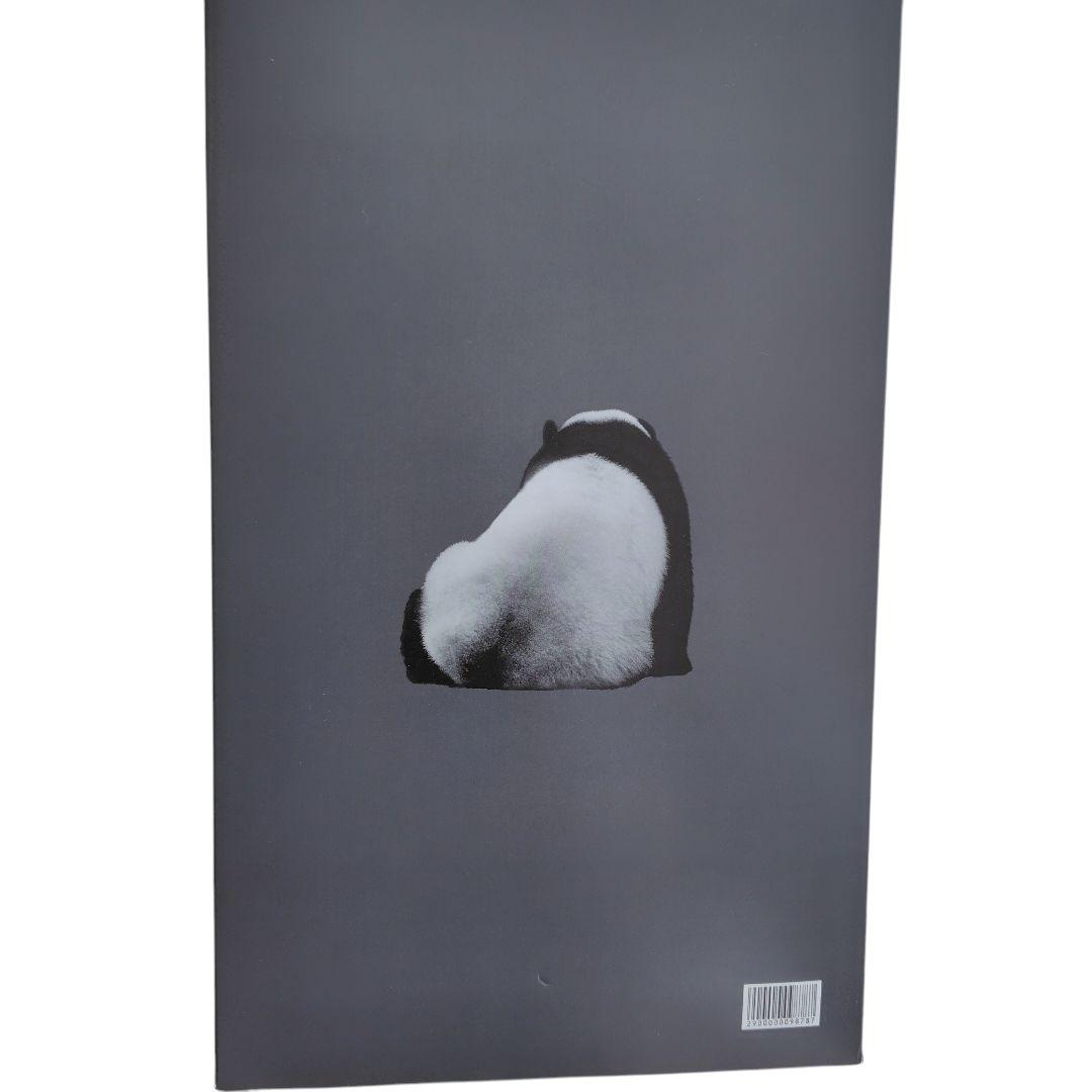 箱入りシャンシャン　上野動物園　オリジナルボックス　日本製