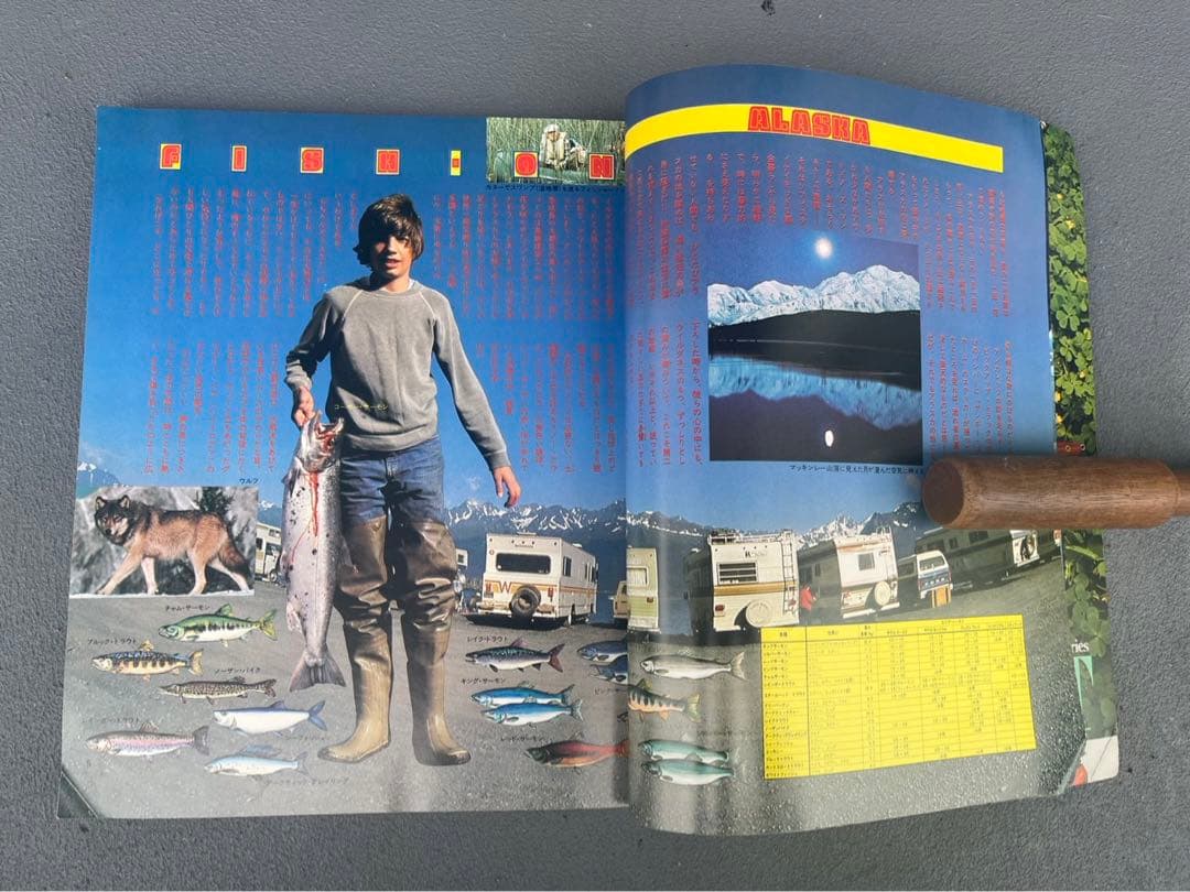 スポーツ・フィッシング辞典