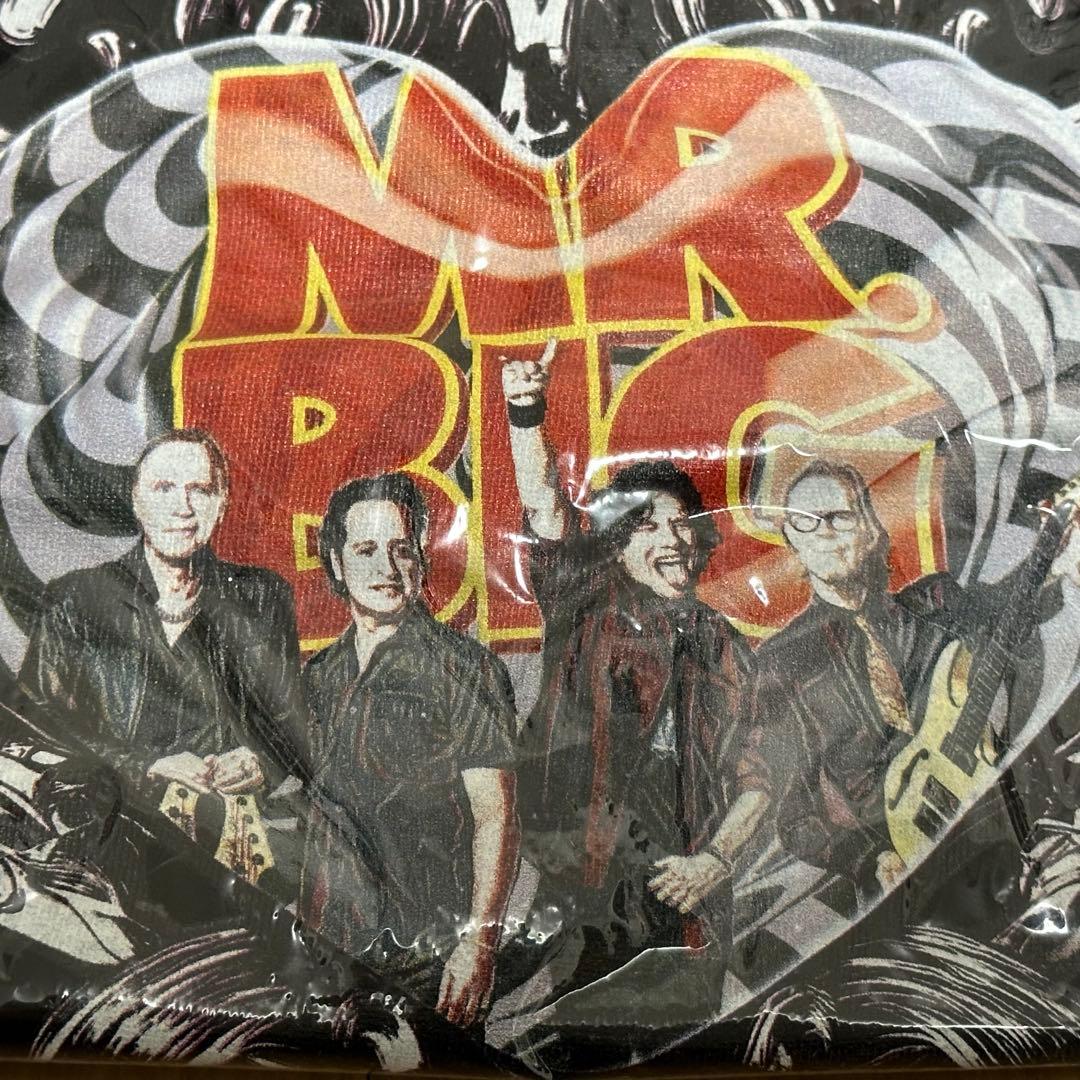 MR.BIG 2025 ジャパンツアーTシャツ Mサイズ