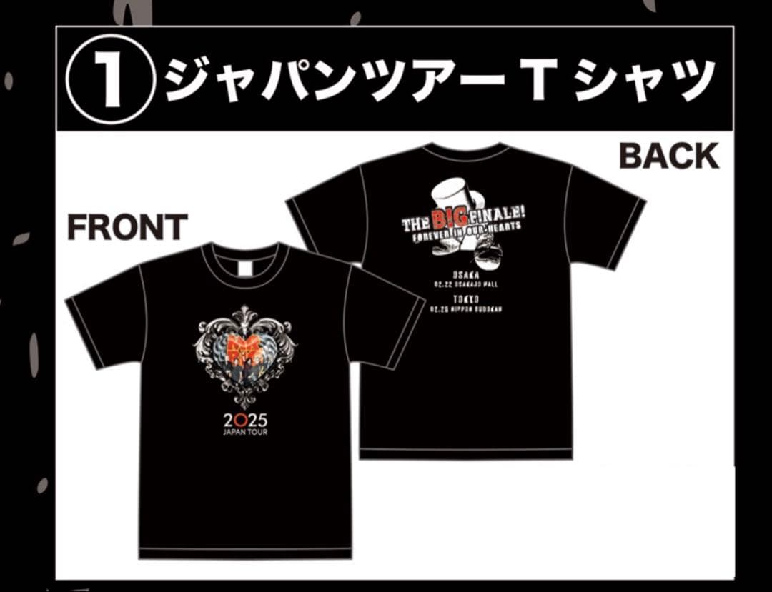 MR.BIG 2025 ジャパンツアーTシャツ Mサイズ