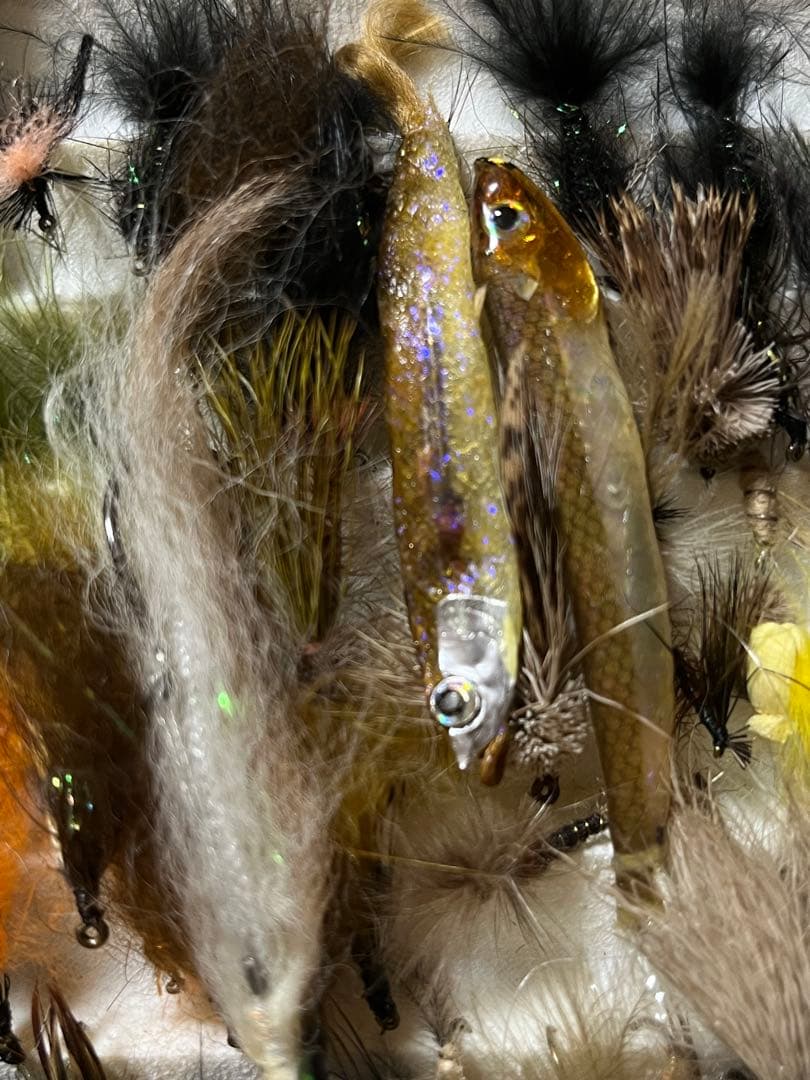 多様なフライセット（約50個）