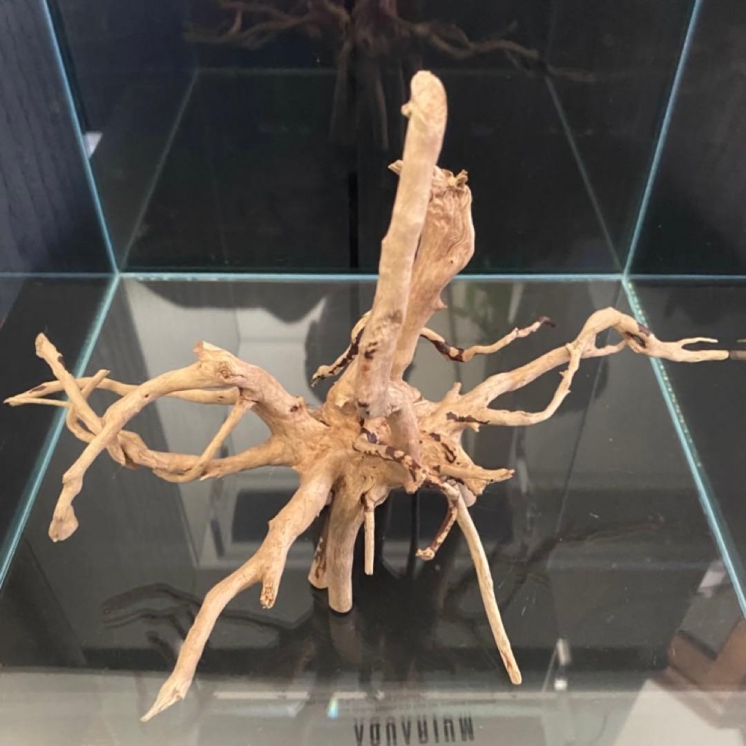 アクアデザインアマノ　ADA