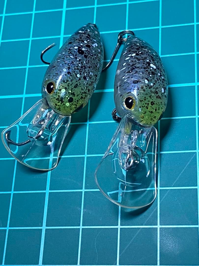 ティモン　パニクラ　オオツカオリカラ　恵比寿　激レア　DR MR