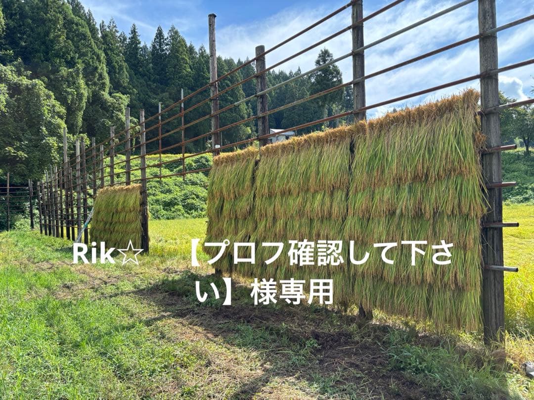 新潟県産天日干しコシヒカリ